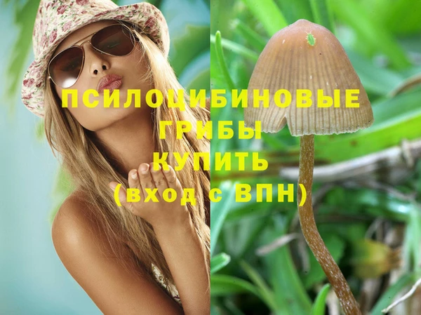 каннабис Арсеньев