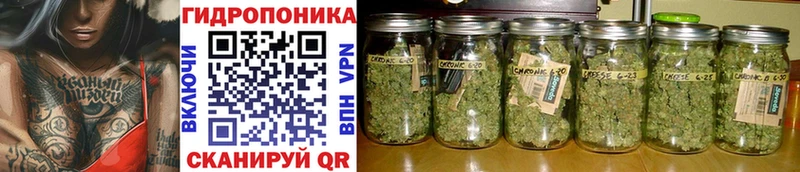 Канабис OG Kush Соликамск